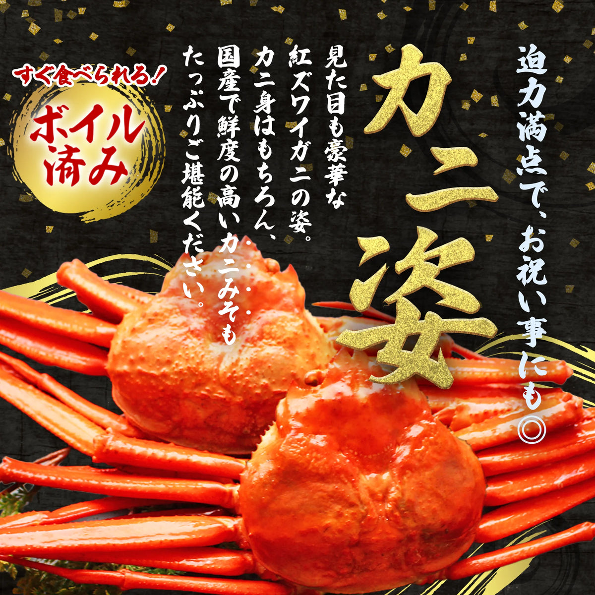 【北海道産】紅ズワイガニ姿2杯 1.0kg～1.3kg