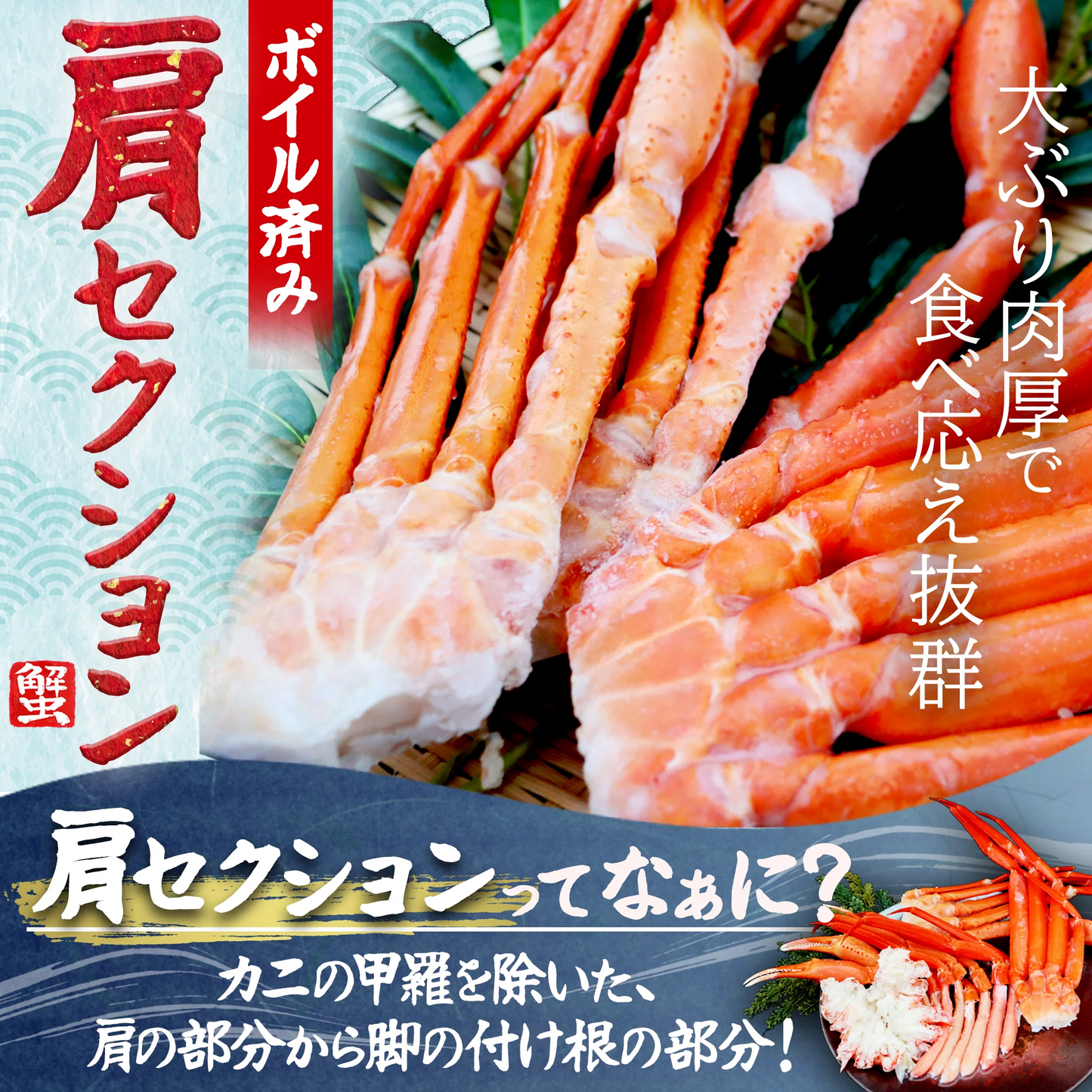 【北海道産】紅ズワイガニ肩セクション 1.0kg